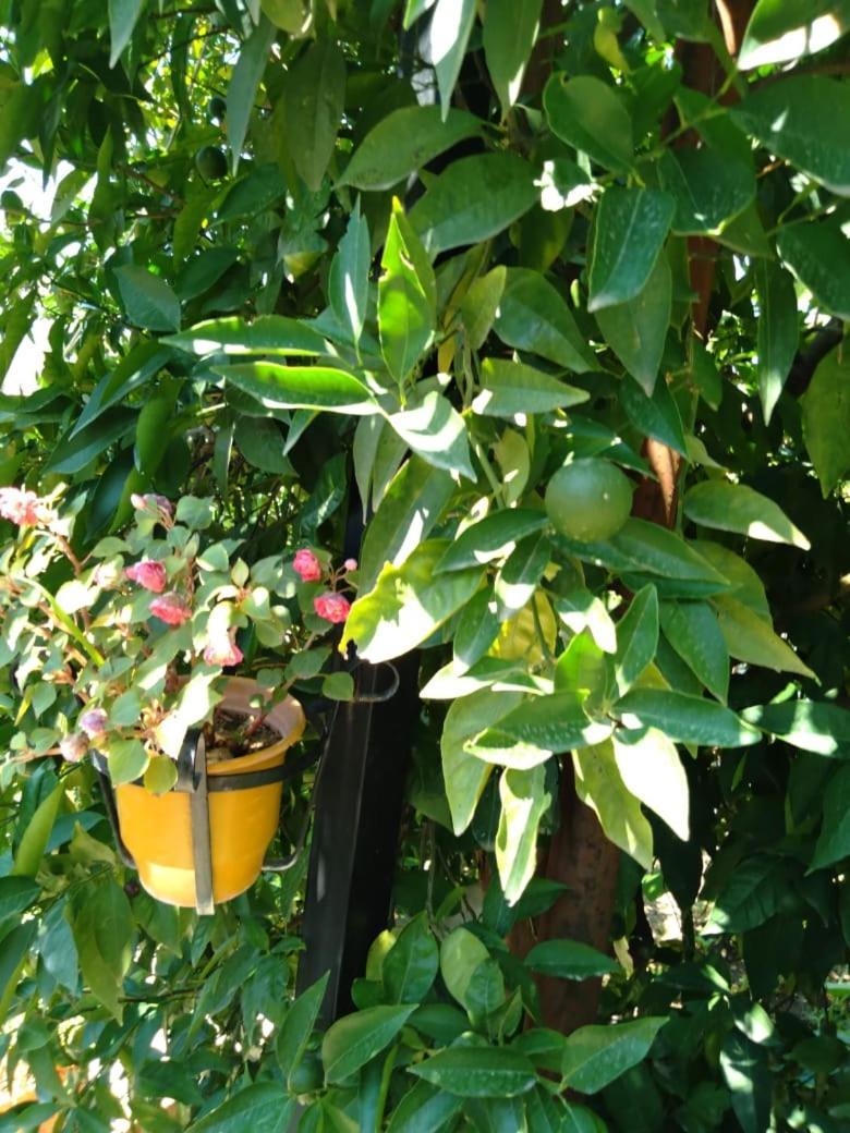 בראט Sara Guesthouse מראה חיצוני תמונה