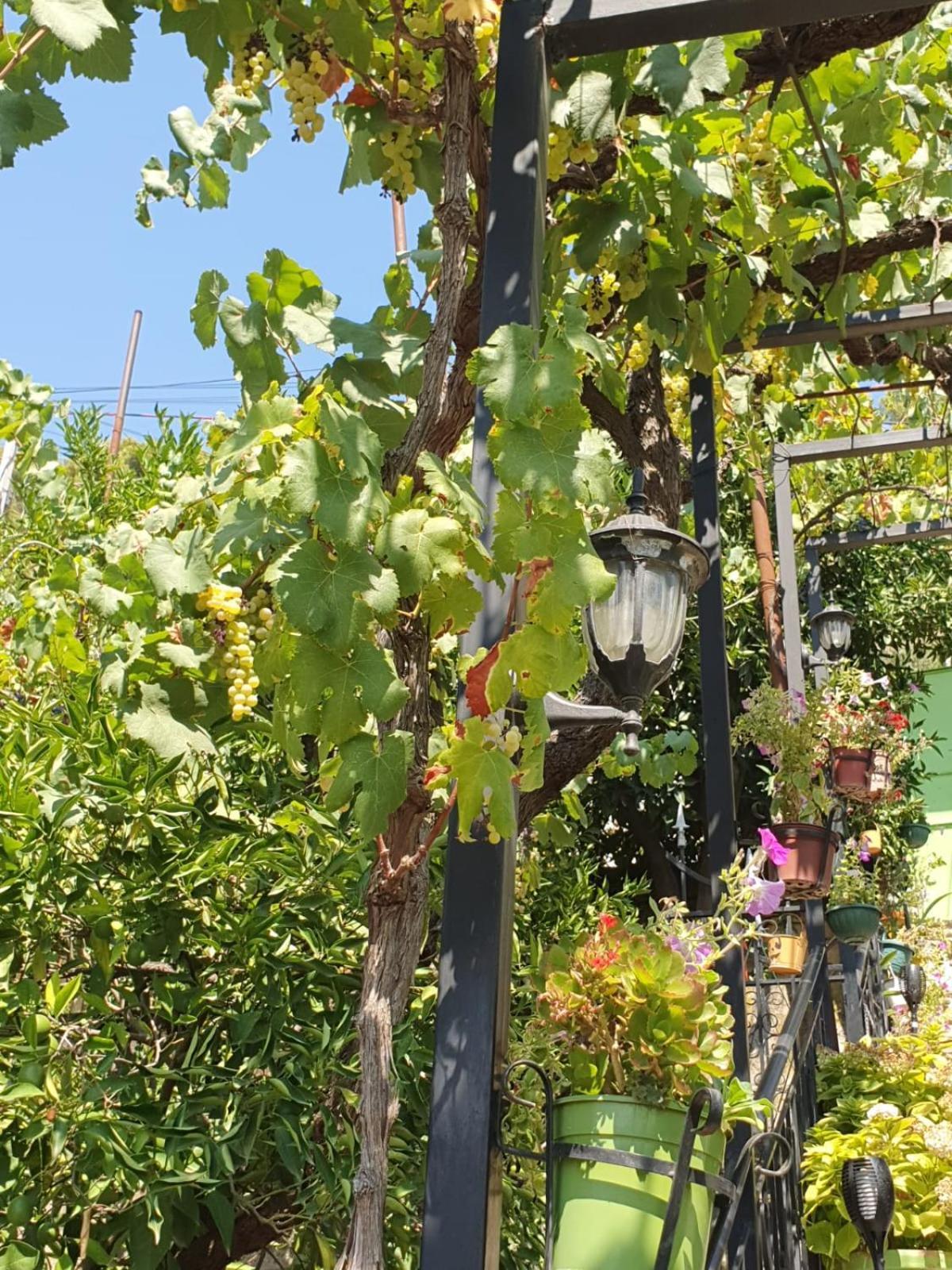 בראט Sara Guesthouse מראה חיצוני תמונה