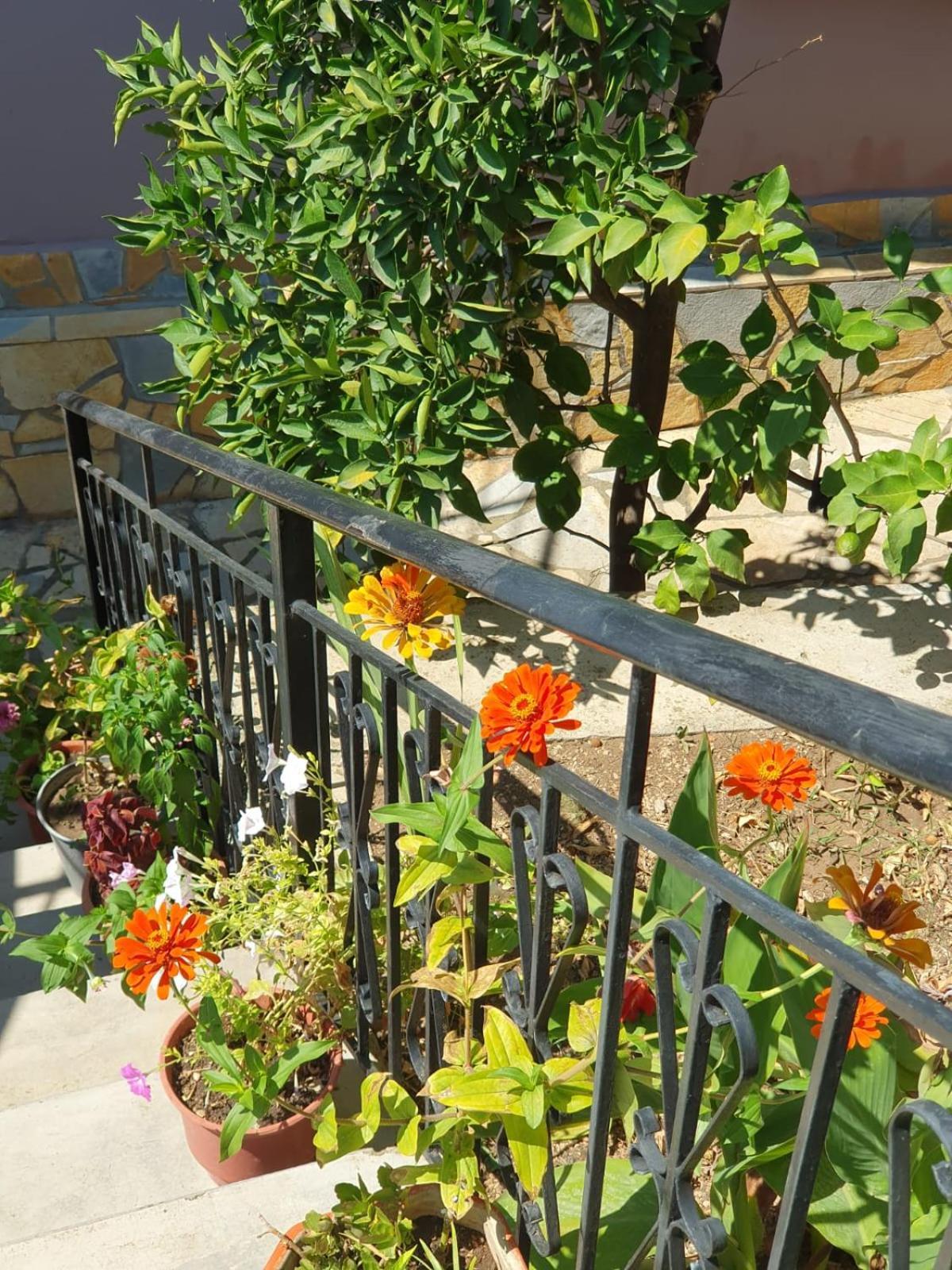 בראט Sara Guesthouse מראה חיצוני תמונה