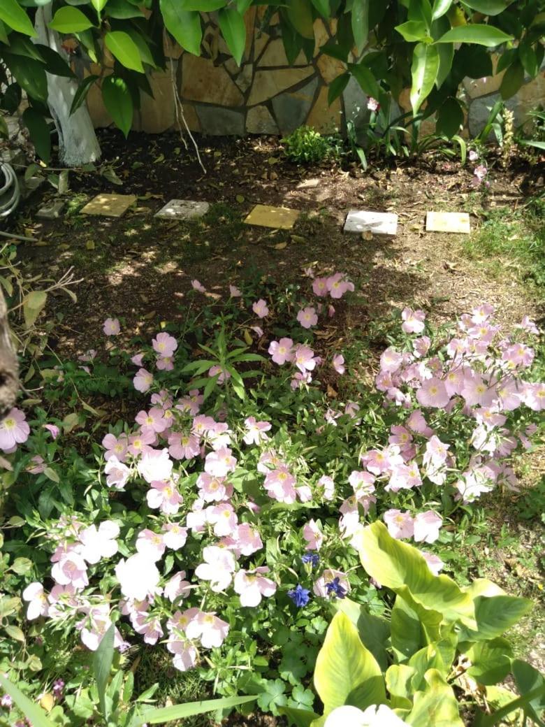 בראט Sara Guesthouse מראה חיצוני תמונה